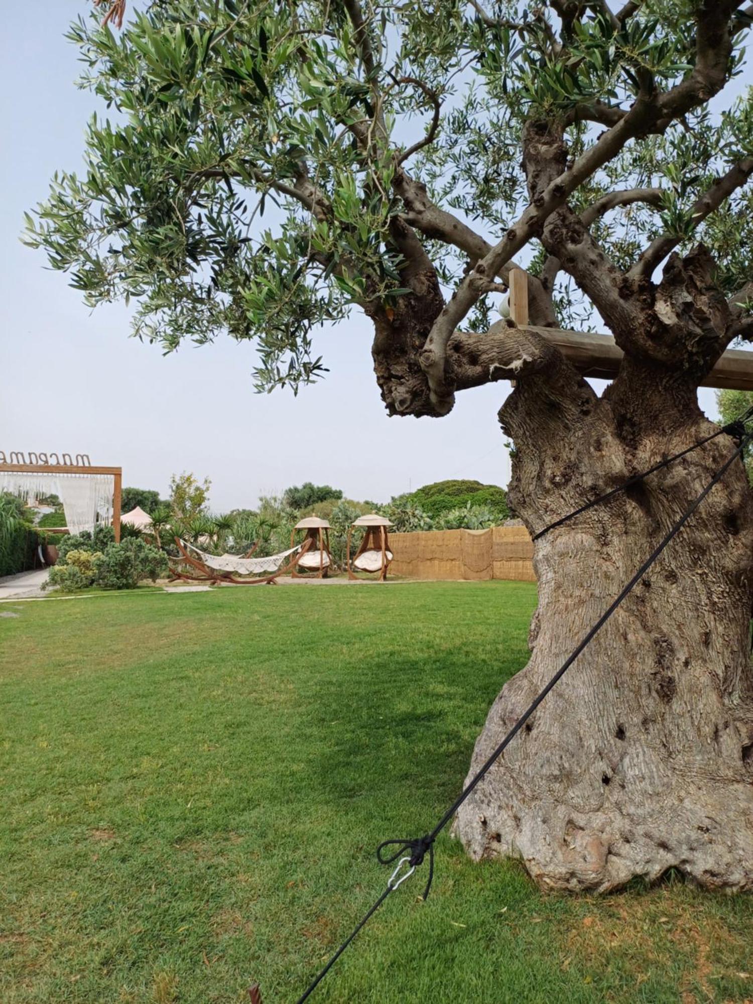 A Casa Del Mercante Monopoli Buitenkant foto
